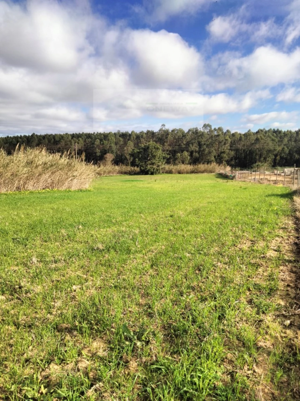 Terreno para Venda em Encarnação Foto 13