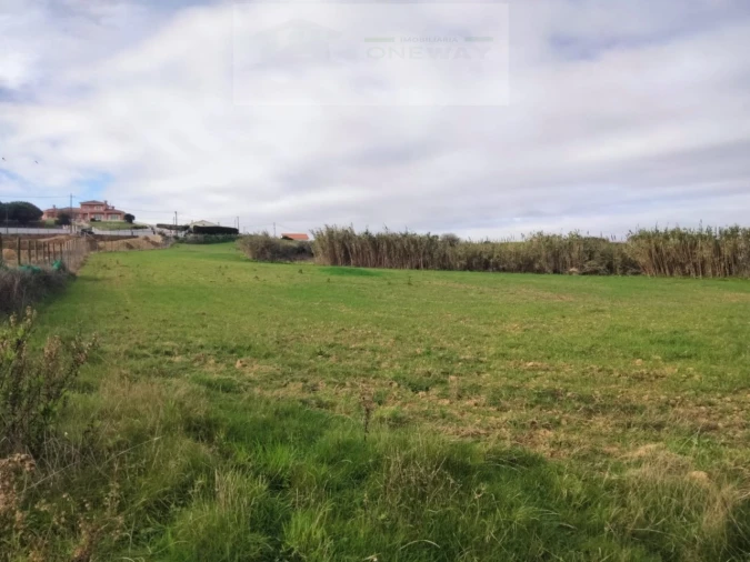 Terreno para Venda em Encarnação Foto 3