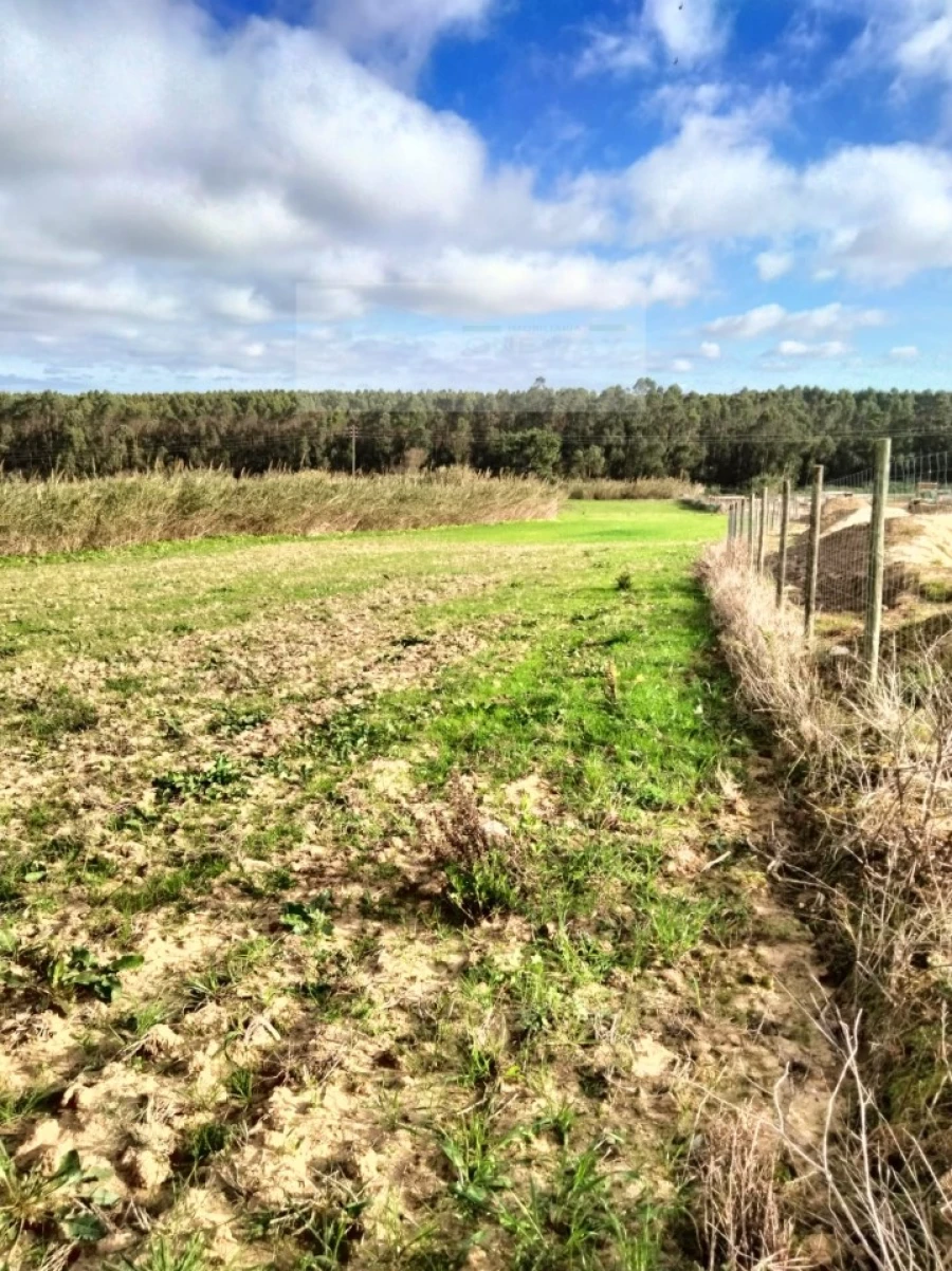 Terreno para Venda em Encarnação Foto 11
