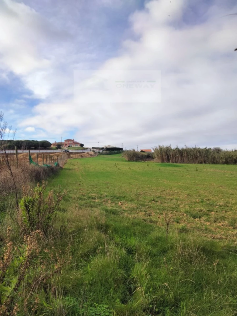 Terreno para Venda em Encarnação Foto 12