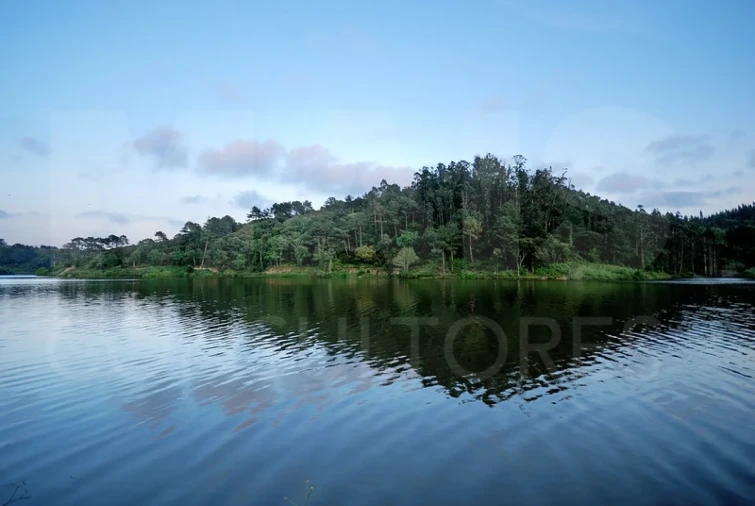 Terreno para Venda em A dos Negros