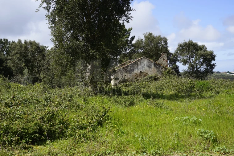 Terreno para Venda em A dos Negros Foto 2