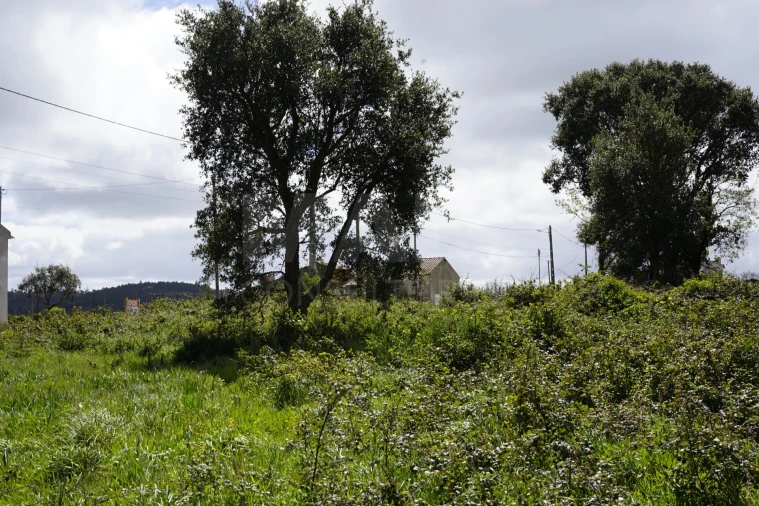 Terreno para Venda em A dos Negros Foto 5