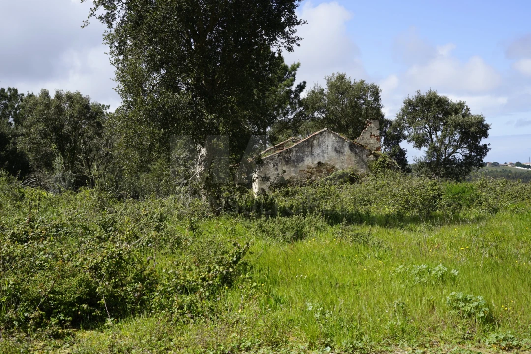 Terreno para Venda em A dos Negros Foto 2