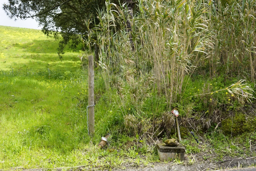 Terreno para Venda em A dos Negros Foto 7