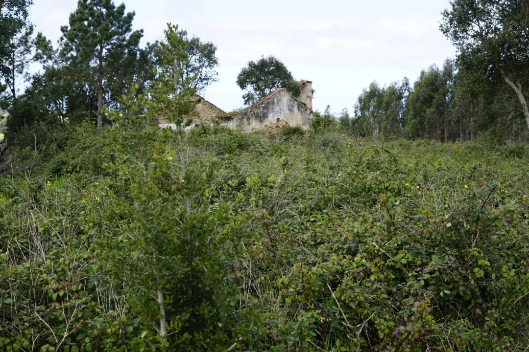 Terreno para Venda em A dos Negros Foto 11