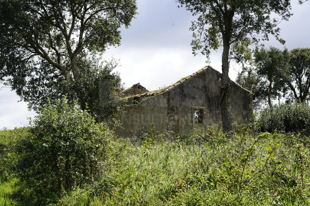 Terreno para Venda em A dos Negros Foto 6
