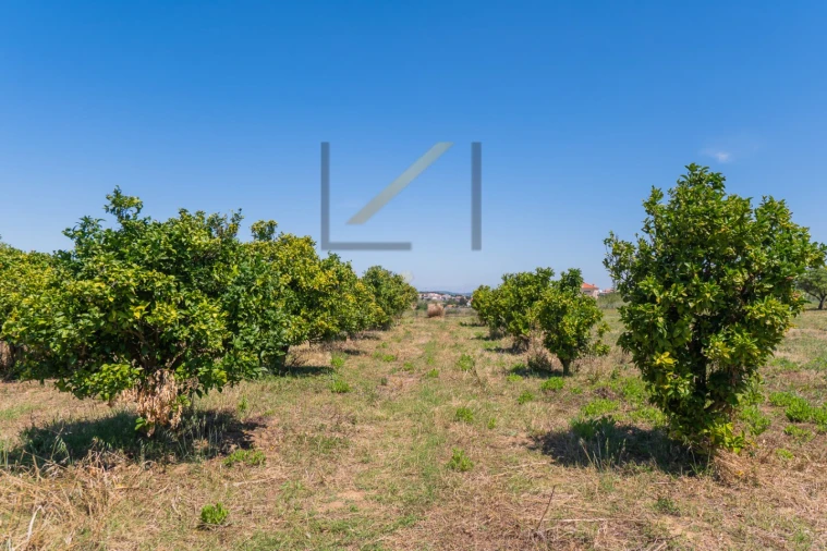Terreno para Venda em Vila Franca de Xira Foto 58