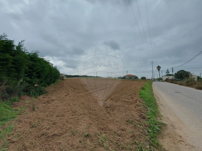 Terreno para Venda em Serra D'El-Rei Foto 8