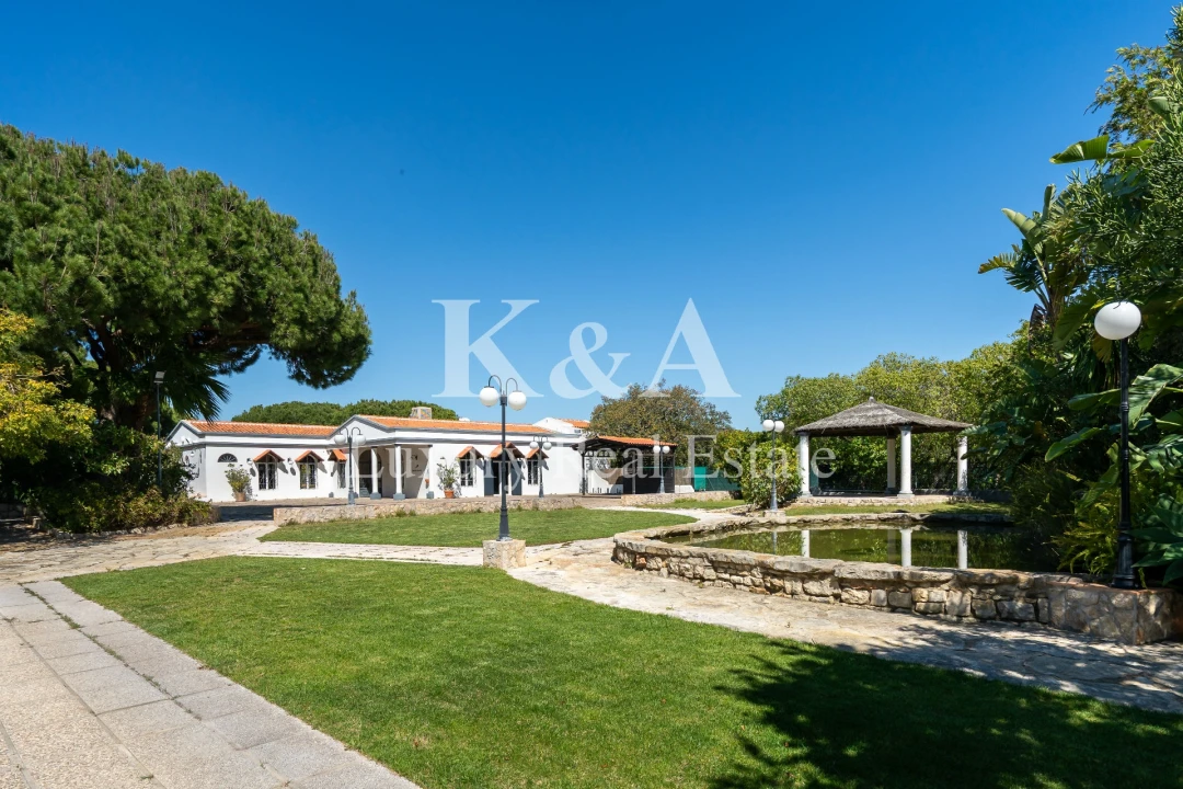 Negócio para Venda em Almancil Foto 3