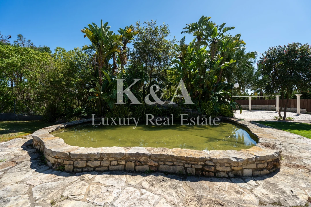 Negócio para Venda em Almancil Foto 11