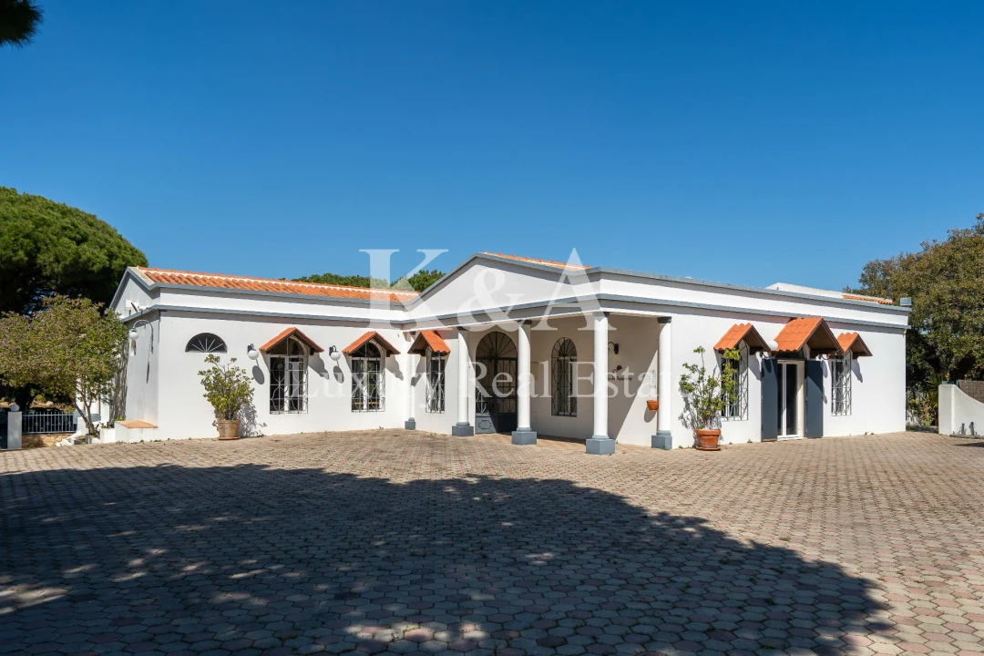 Negócio para Venda em Almancil Foto 4