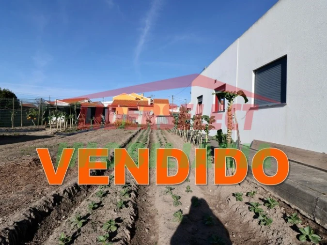 Terreno para Venda em Silveira Foto 1