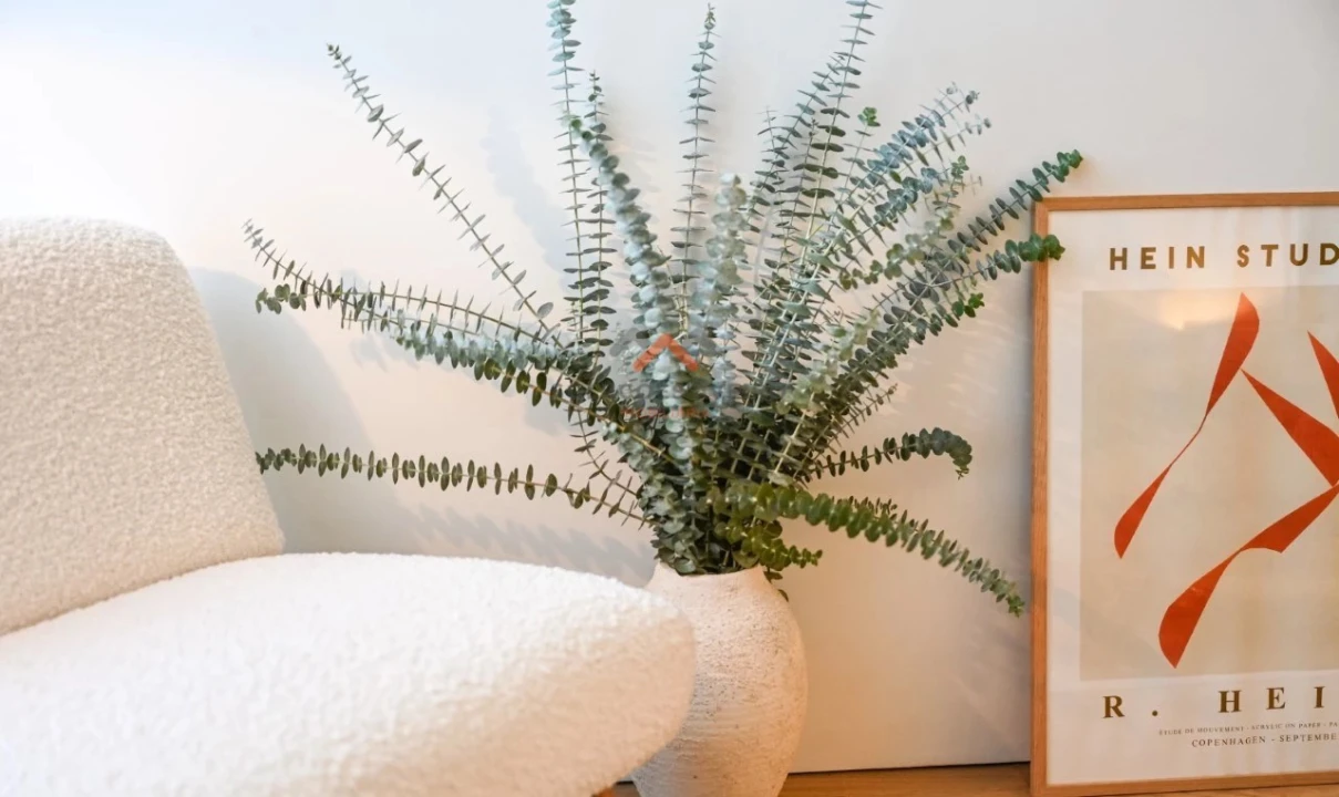 Apartamento T1 para Venda em Glória e Vera Cruz Foto 5