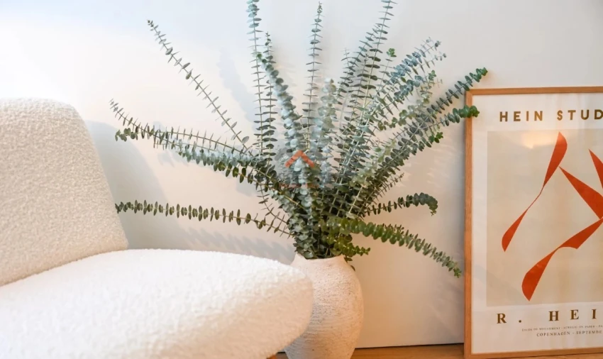Apartamento T1 para Venda em Glória e Vera Cruz Foto 5