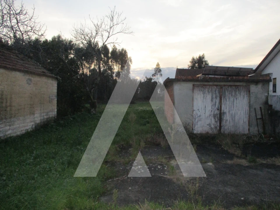 Moradia T3 para Venda em Bustos, Troviscal e Mamarrosa Foto 12