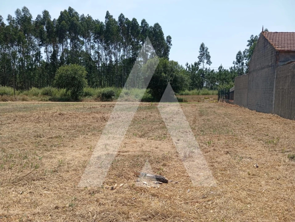 Moradia T3 para Venda em Bustos, Troviscal e Mamarrosa Foto 13