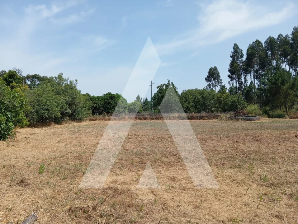 Moradia T3 para Venda em Bustos, Troviscal e Mamarrosa Foto 15