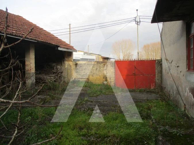 Moradia T3 para Venda em Bustos, Troviscal e Mamarrosa Foto 10