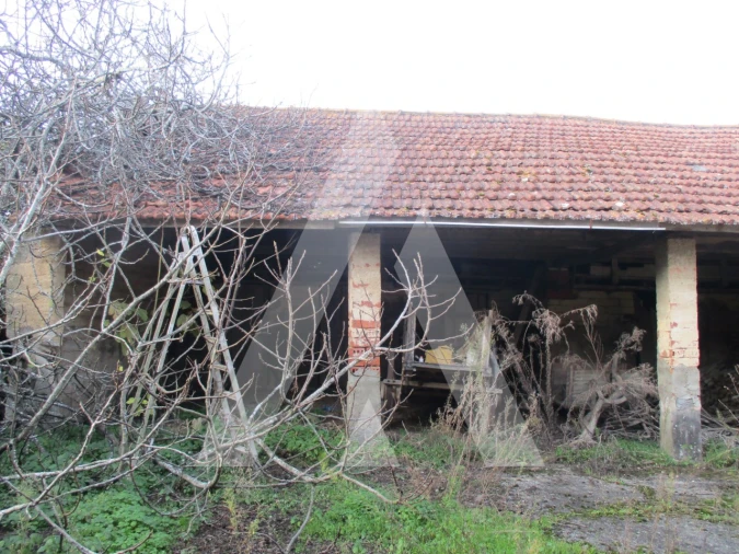 Moradia T3 para Venda em Bustos, Troviscal e Mamarrosa Foto 11