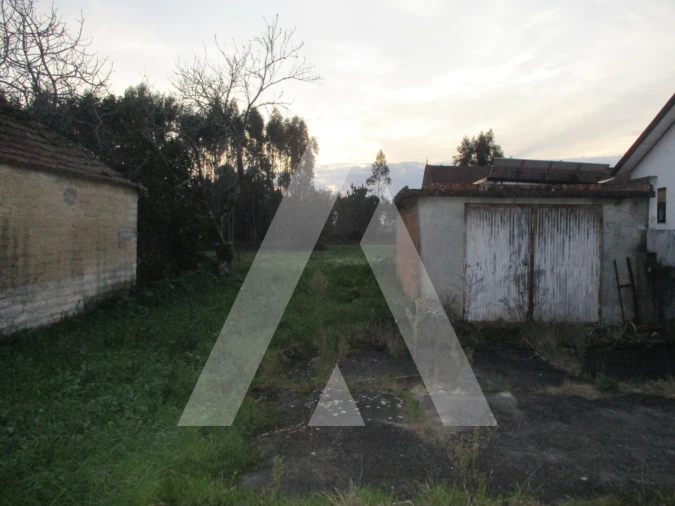 Moradia T3 para Venda em Bustos, Troviscal e Mamarrosa Foto 12