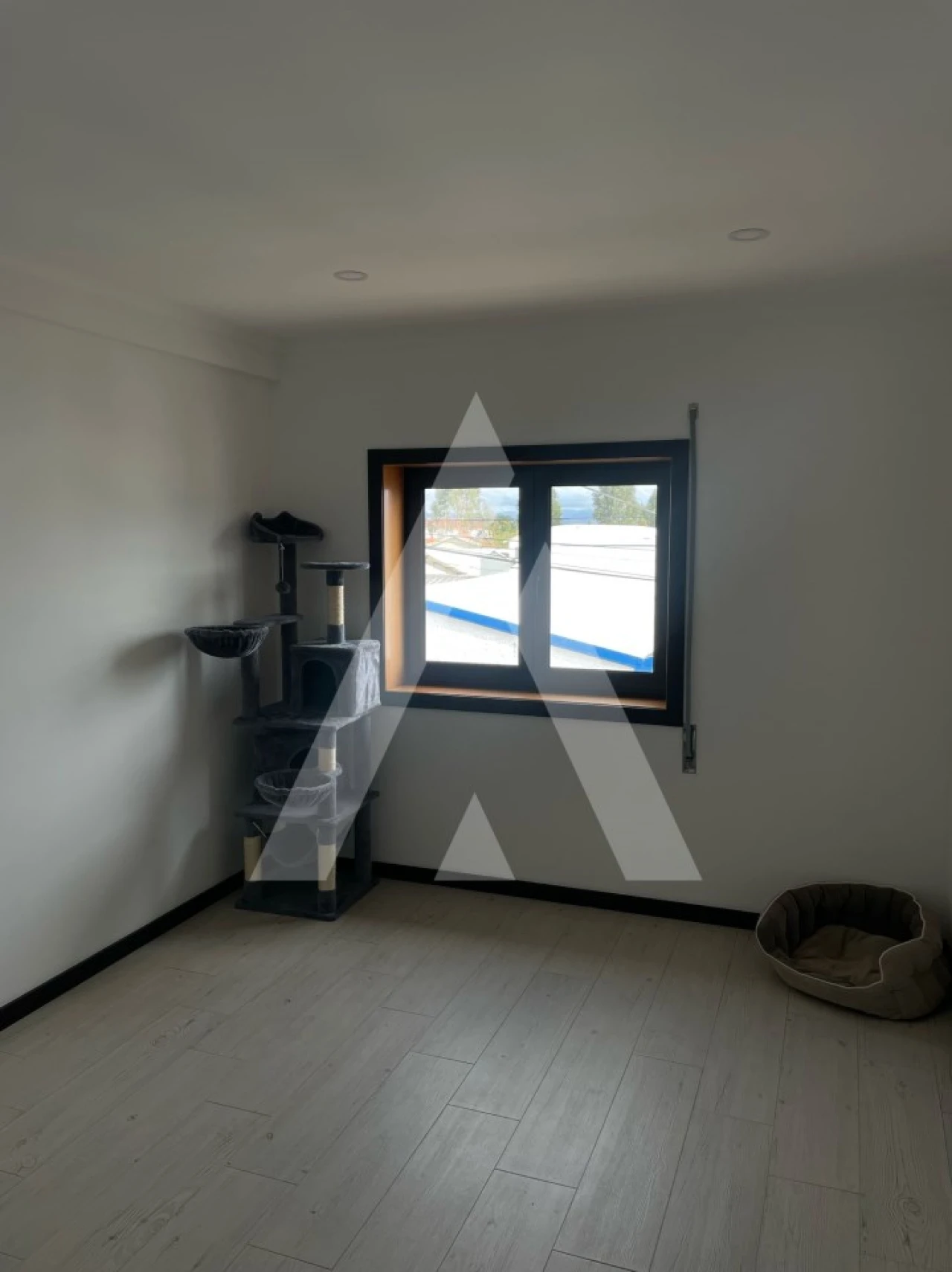 Armazém para Venda em Santa Joana Foto 29