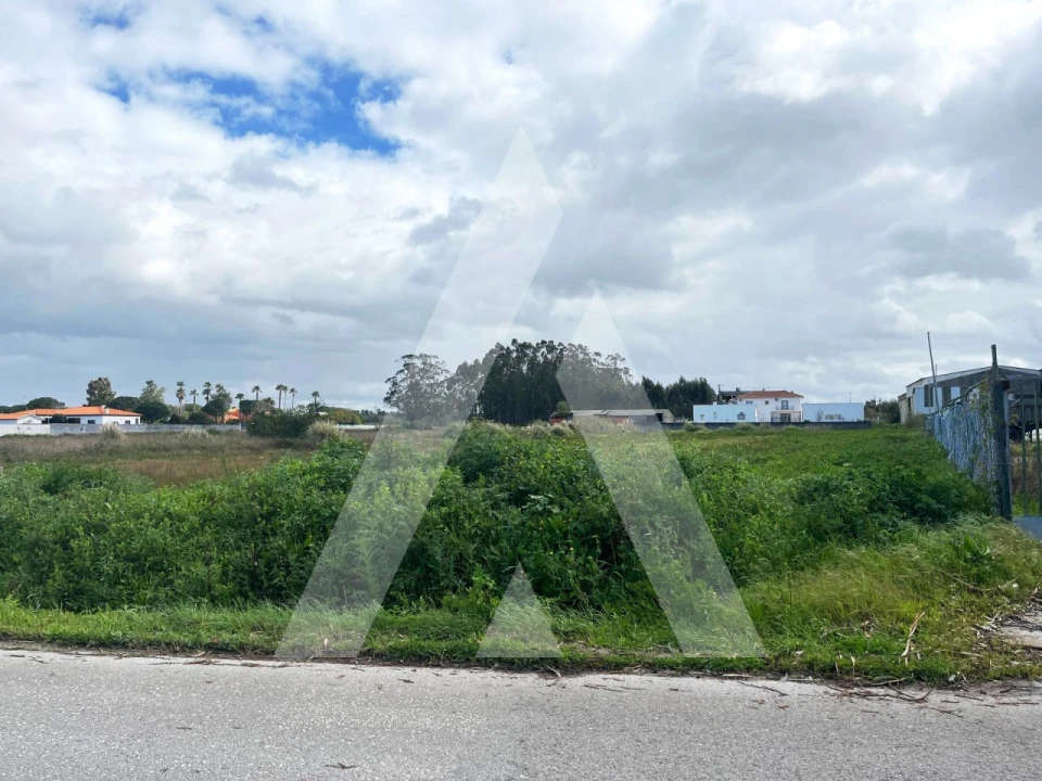 Terreno para Venda em Vagos e Santo António Foto 6