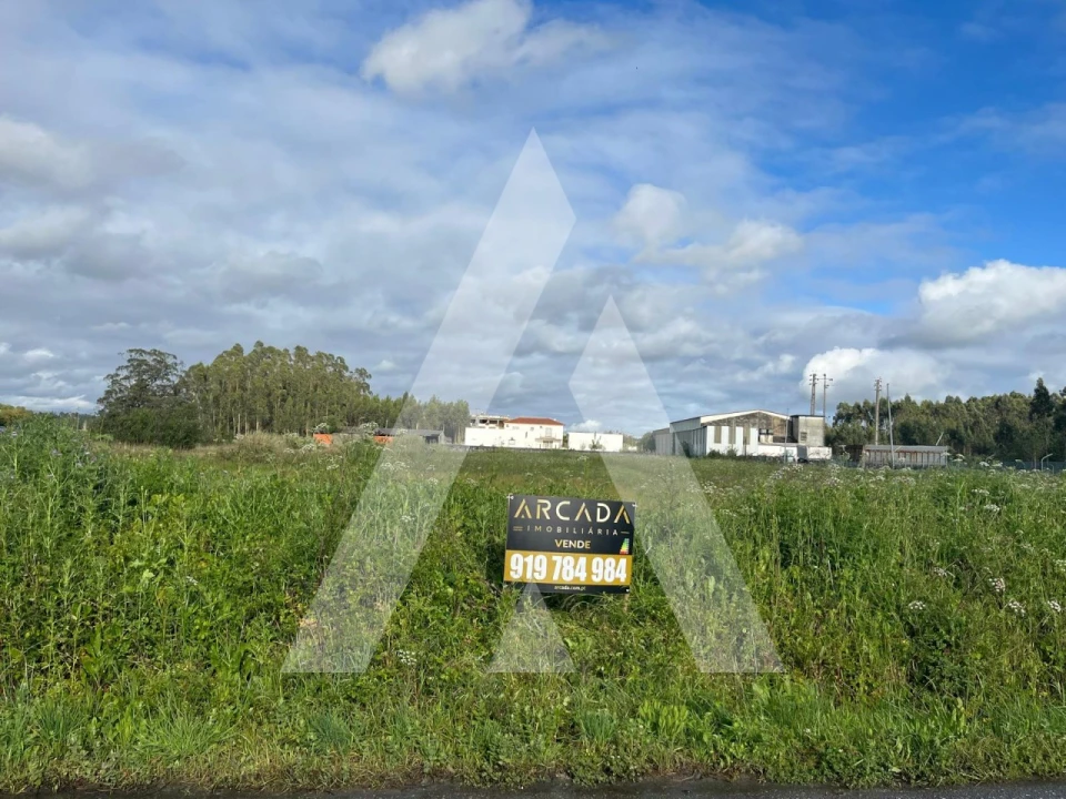 Terreno para Venda em Vagos e Santo António Foto 5