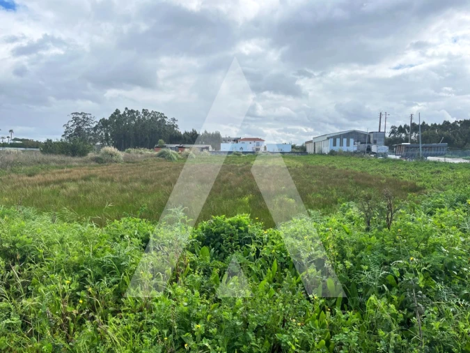 Terreno para Venda em Vagos e Santo António Foto 8