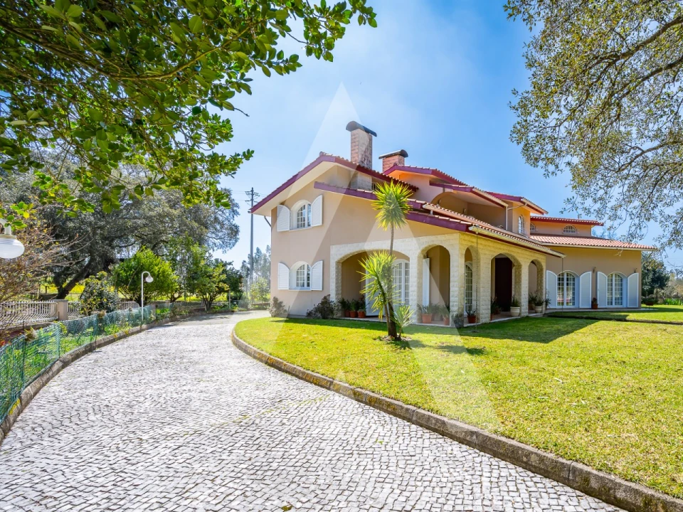 Moradia T4 para Venda em Talhadas Foto 58