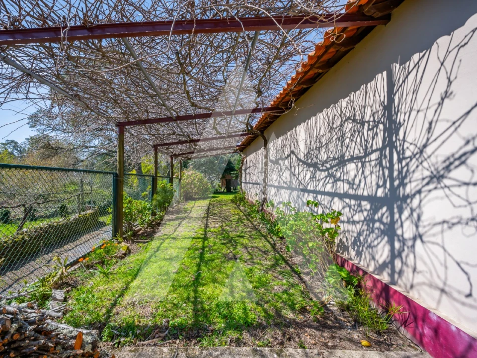 Moradia T4 para Venda em Talhadas Foto 54