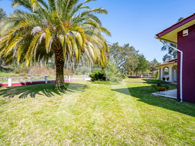 Moradia T4 para Venda em Talhadas Foto 59