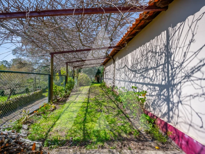 Moradia T4 para Venda em Talhadas Foto 54