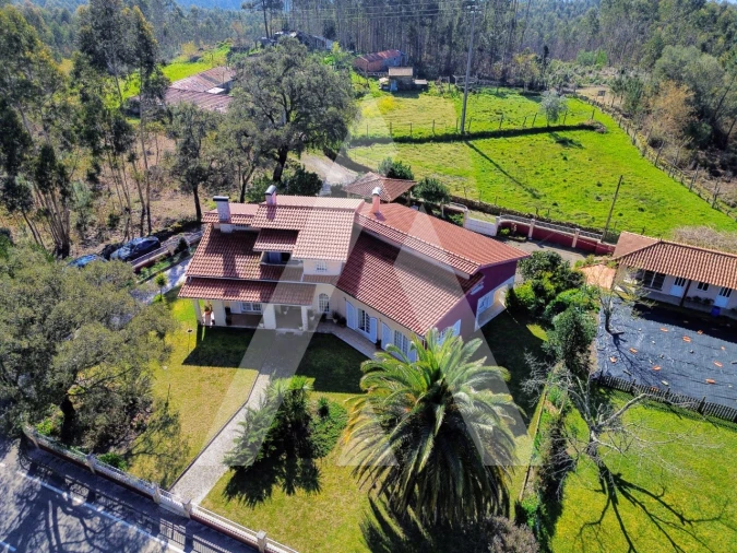 Moradia T4 para Venda em Talhadas Foto 68