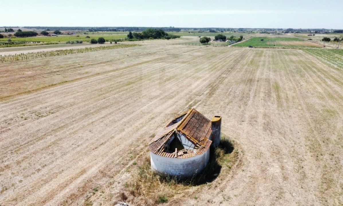 Quinta T2 para Venda em Almeirim Foto 4