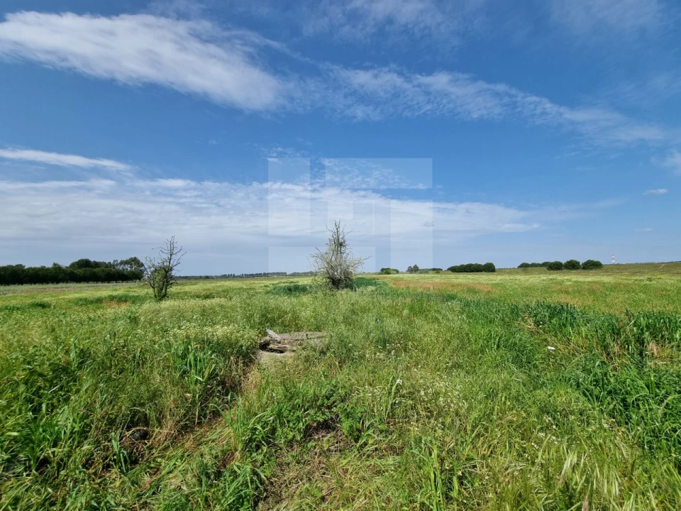 Quinta T2 para Venda em Almeirim Foto 14