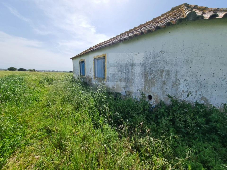 Quinta T2 para Venda em Almeirim Foto 16