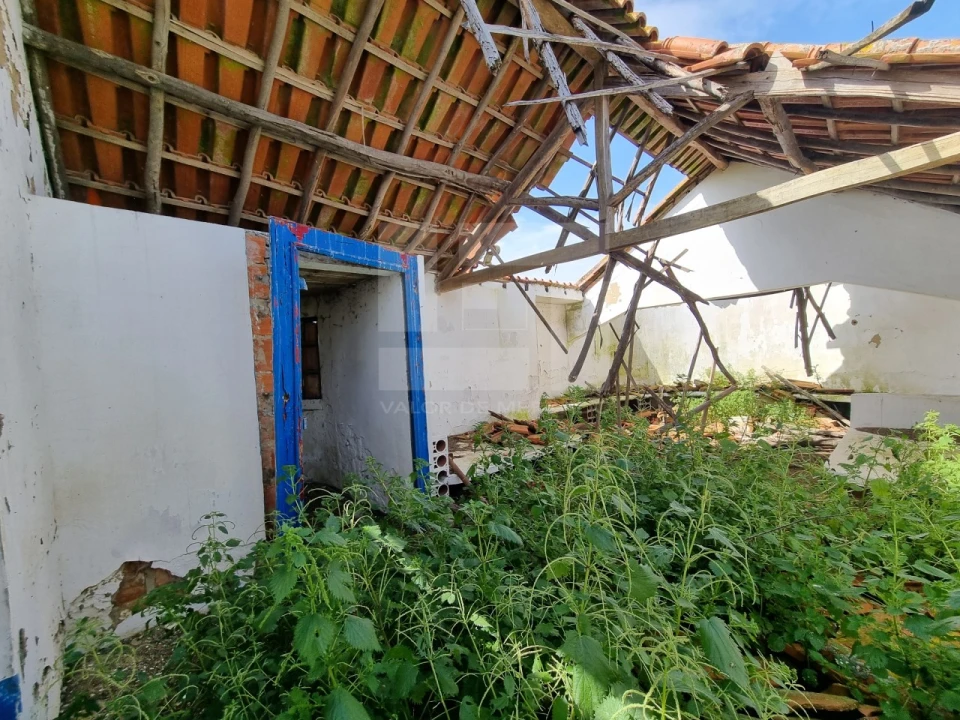 Quinta T2 para Venda em Almeirim Foto 19