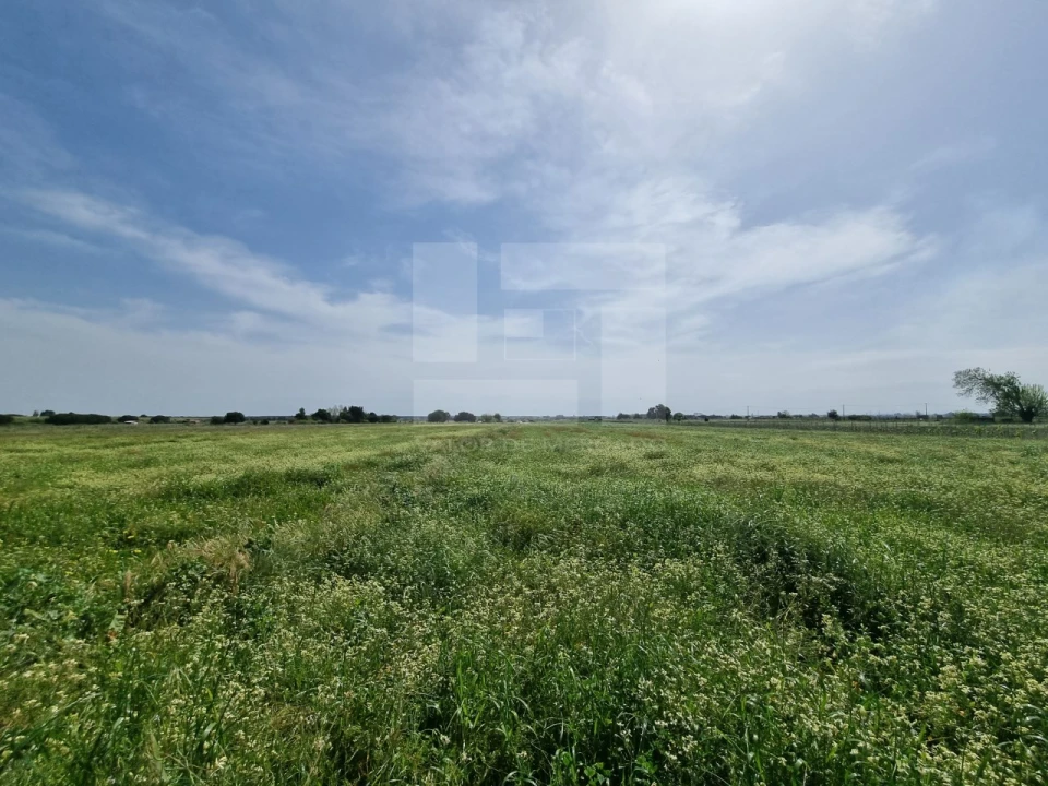 Quinta T2 para Venda em Almeirim Foto 20