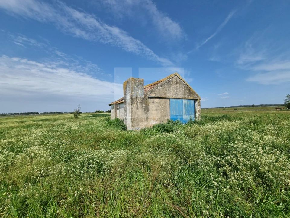 Quinta T2 para Venda em Almeirim Foto 1