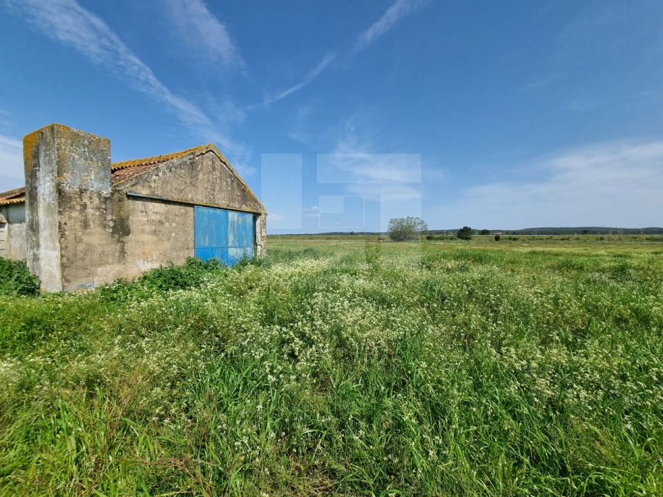 Quinta T2 para Venda em Almeirim Foto 22