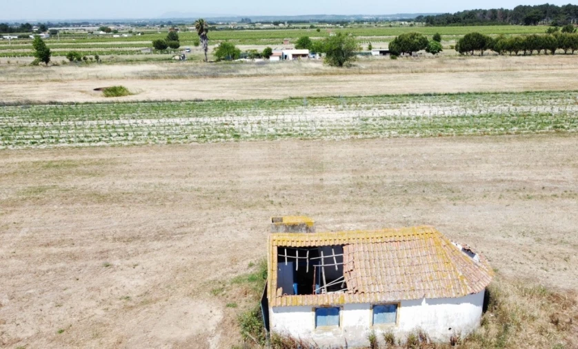 Quinta T2 para Venda em Almeirim Foto 3