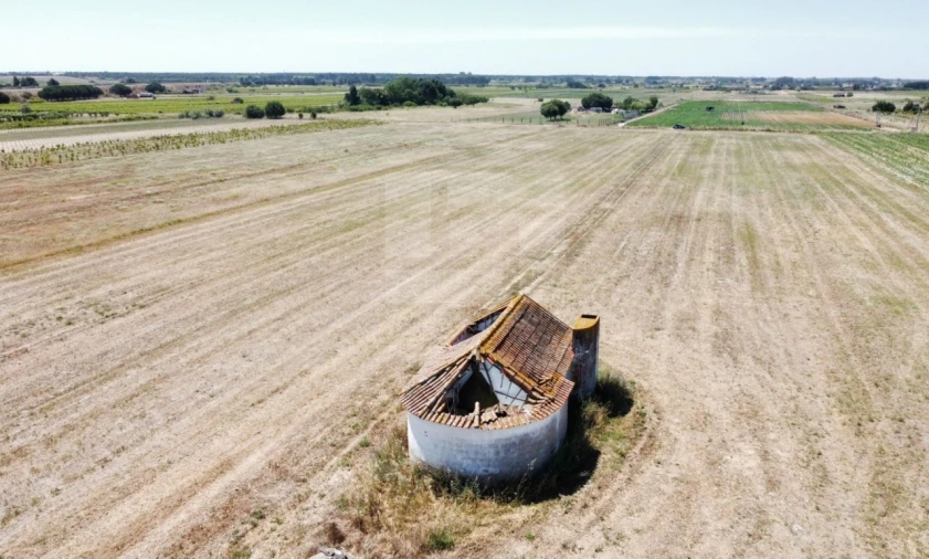 Quinta T2 para Venda em Almeirim Foto 4