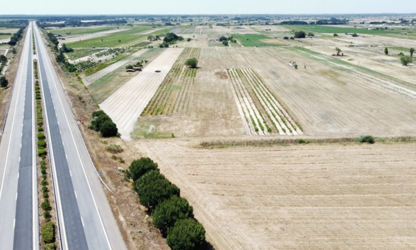 Quinta T2 para Venda em Almeirim Foto 5