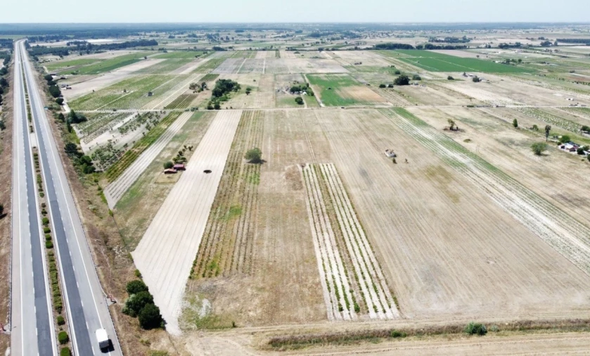 Quinta T2 para Venda em Almeirim Foto 6