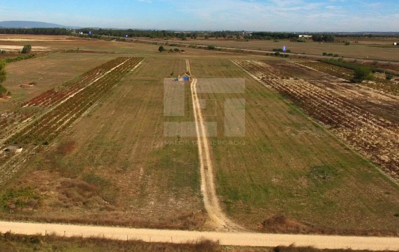 Quinta T2 para Venda em Almeirim Foto 9