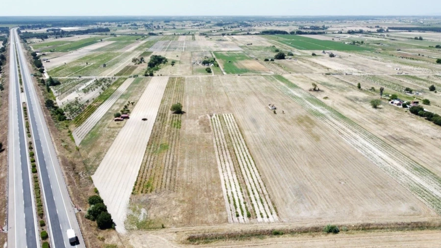 Quinta T2 para Venda em Almeirim Foto 10