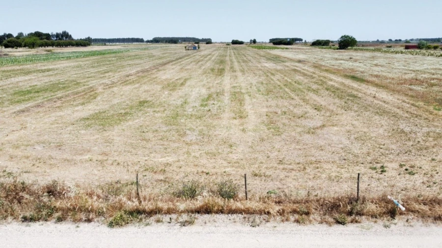 Quinta T2 para Venda em Almeirim Foto 13