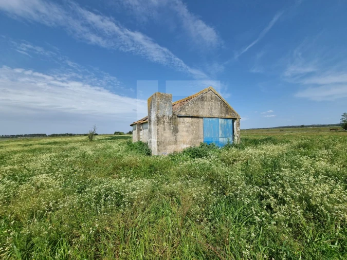 Quinta T2 para Venda em Almeirim Foto 1