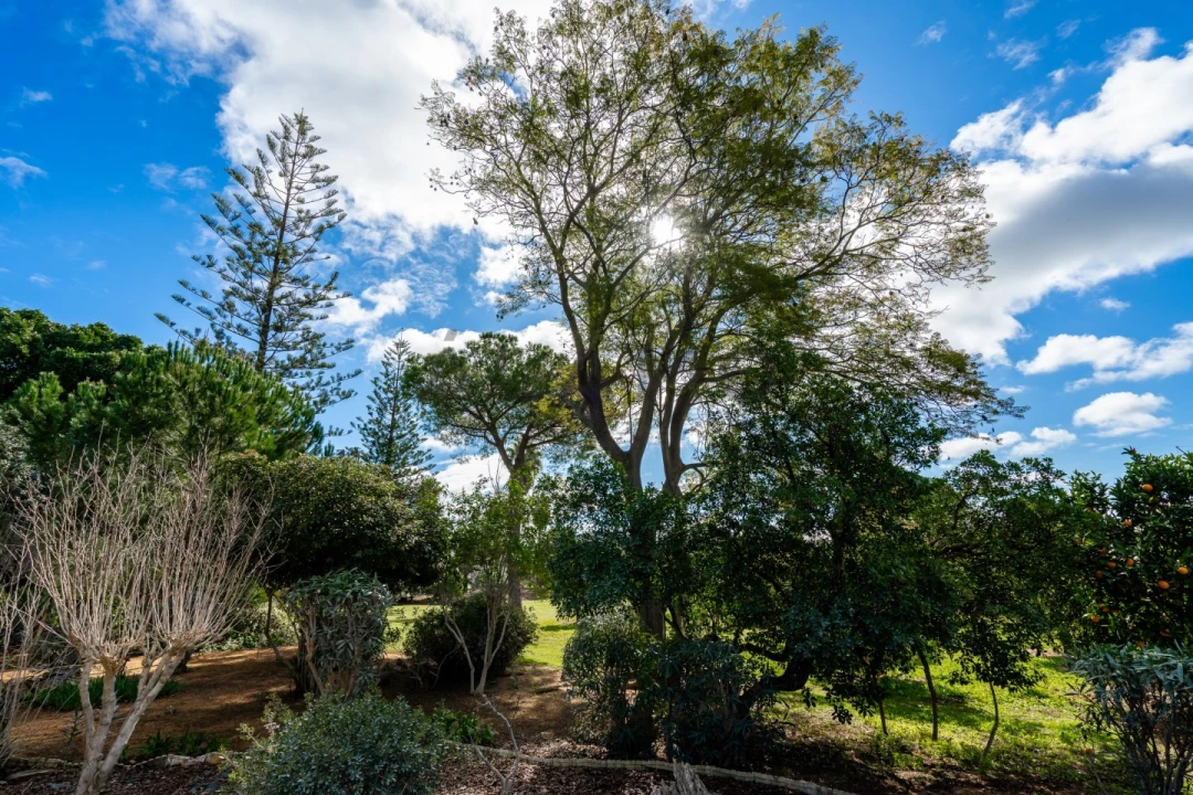 Moradia T9 para Venda em Loule (São Clemente) Foto 50